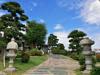 garden in the park