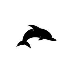 Dolphin graphic design template vector isolated