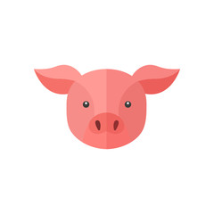 pink pig on white background