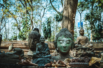 Fototapeta na wymiar Buddha of Wat Umong Temple in Chaing Mai, Thailand