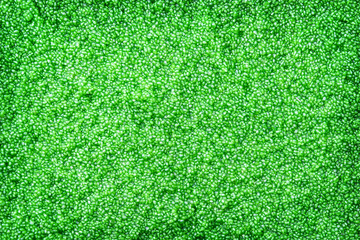 Water algae wolffia globosa or water meal texture top view background
