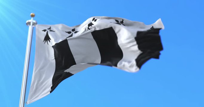 Flag of the city of Rennes, France. Loop