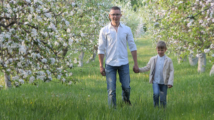 father and son at blooming apple trees in the garden