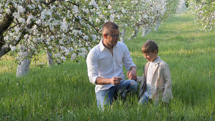father and son at blooming apple trees in the garden
