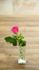 Pink rose in glass vase on wood background
