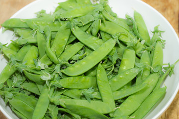朝摘み採れたて新鮮サヤエンドウ