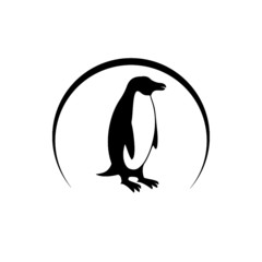 Obraz premium Penguin icon isolated on white background