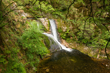Allerheiligen Wasserf&auml;lle bei Oppenau im Schwarzwald