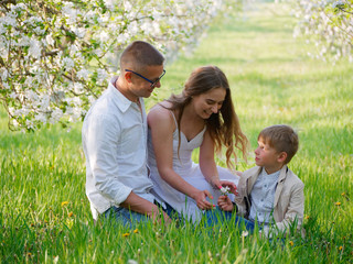 Naklejka na ściany i meble family with a child in blooming apple trees in the garden