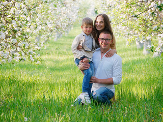 Naklejka na ściany i meble family with a child in blooming apple trees in the garden
