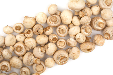 fresh mushrooms champignons close up as a background