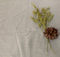 Fototapeta na wymiar Dried flowers used as decorations with isolated background