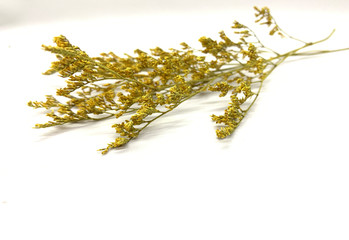 Dried flowers used as decorations with isolated background