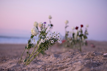 Funeral flower, lonely white and red roses and daisy flowers at the beach, with copy space, burial...