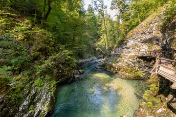 The mountain river in the Forest with rays of sun shining through green and yellow trees on right and left sides. Vintgar Gorge, Slovenia during summer