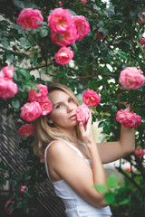 Naklejka na ściany i meble blond woman smiling in a flowering bush of pink roses