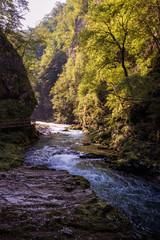 The mountain river in the Forest with rays of sun shining through green and yellow trees on right and left sides. Vintgar Gorge, Slovenia during summer
