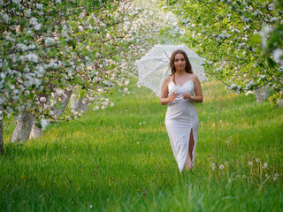 Naklejka na ściany i meble girl with a white umbrella in blooming apple trees in the garden