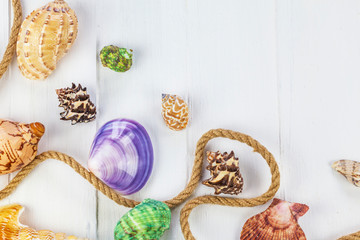  Summer vacation concept. Sea shells with rope on white wooden background, copy space.