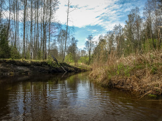 landscape with a small wild river bank, the first spring greenery, last year's reeds, tree reflections in the water