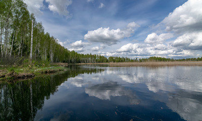 a developed bog lake, swampy meadows and bogs wonderful cumulus clouds and reflections in the water, Sedas heath, Latvia