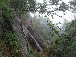 Wild Nature of Russia