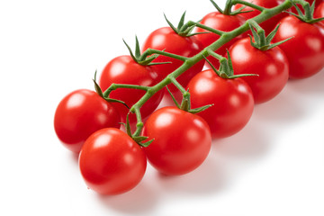 Tomatoes on a white background