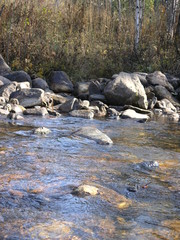 Wild Nature of Russia