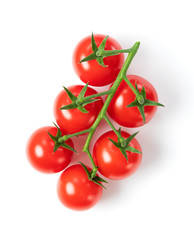 Tomatoes on a white background