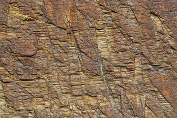 Old oak board, wood background overhead close up, old wood texture. Background for posters, banners, covers, inscriptions and other things