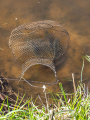fish net in the water, fishing as a leisure concept, water and dry reed texture
