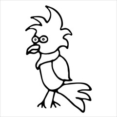 Funny cartoon pirate parrot. Pirates emblems. Hand drawn illustration in doodle style. Vector illustration illustration on white background