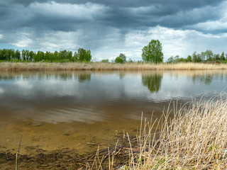 calm scene of beautiful sky with cumulus clouds reflection on the lake, in the foreground last year's dry reed stalks