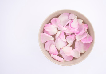 rose petals floating in the water in a plate on a white background, top view