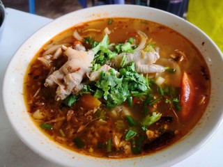 chicken noodle soup