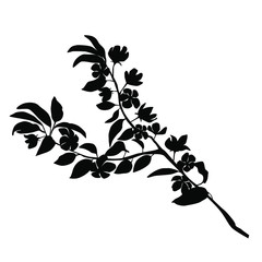 Vector silhouette of the branch of Apple or cherry trees with flowers, black color, isolated on white background