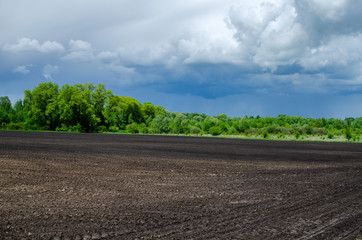 Fototapeta premium Picturesque spring landscape with green forest and arable land, heavy thunderclouds and streaks of rain on the horizon