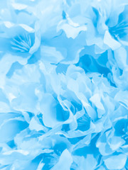 Beautiful abstract color black and blue flowers on black background, white flower frame, blue leaves texture, purple background, blue leaves and blue flowers on purple background