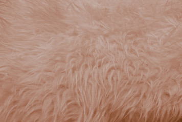 Beautiful abstract white and brown feathers on black background and soft yellow feather texture on white pattern and yellow background, feather background, gold feathers banners