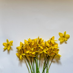a yellow bouquet of wild tulips on a light background