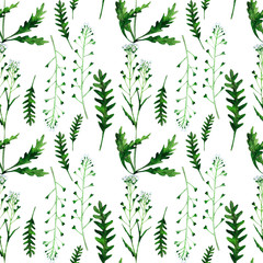 Capsella on a white background. Wild healing herbs seamless pattern design for wallpaper, paper, textile, fabric.