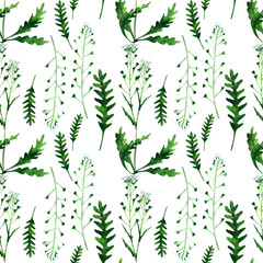 Capsella on a white background. Wild healing herbs seamless pattern design for wallpaper, paper, textile, fabric.