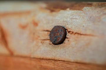 Old rusted nails on wooden posts