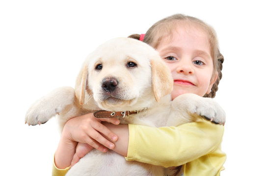 Portrait of a cute girl holding a Labrador puppy in her arms isolated on white background