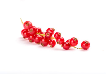 Red currant isolated on a white background