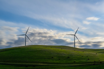 Wind turbines on meadow in Springtime