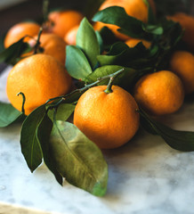 tangerines on a tree