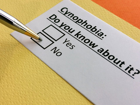 One person is answering question about cynophobia.