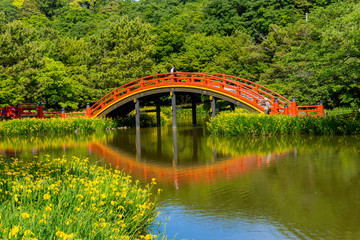 Fototapeta premium 金沢八景・称名寺の庭園