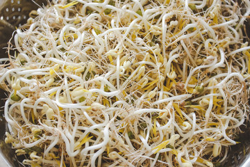 Fresh white sprouts of mung dal
